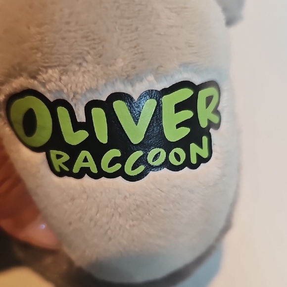 Build-A-Bear Oliver Raccoon - Picture 5 of 6
